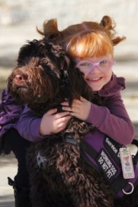 Service Dogs Training Program