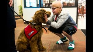 Therapy dog for children