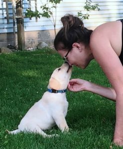Therapy Dogs for Sale