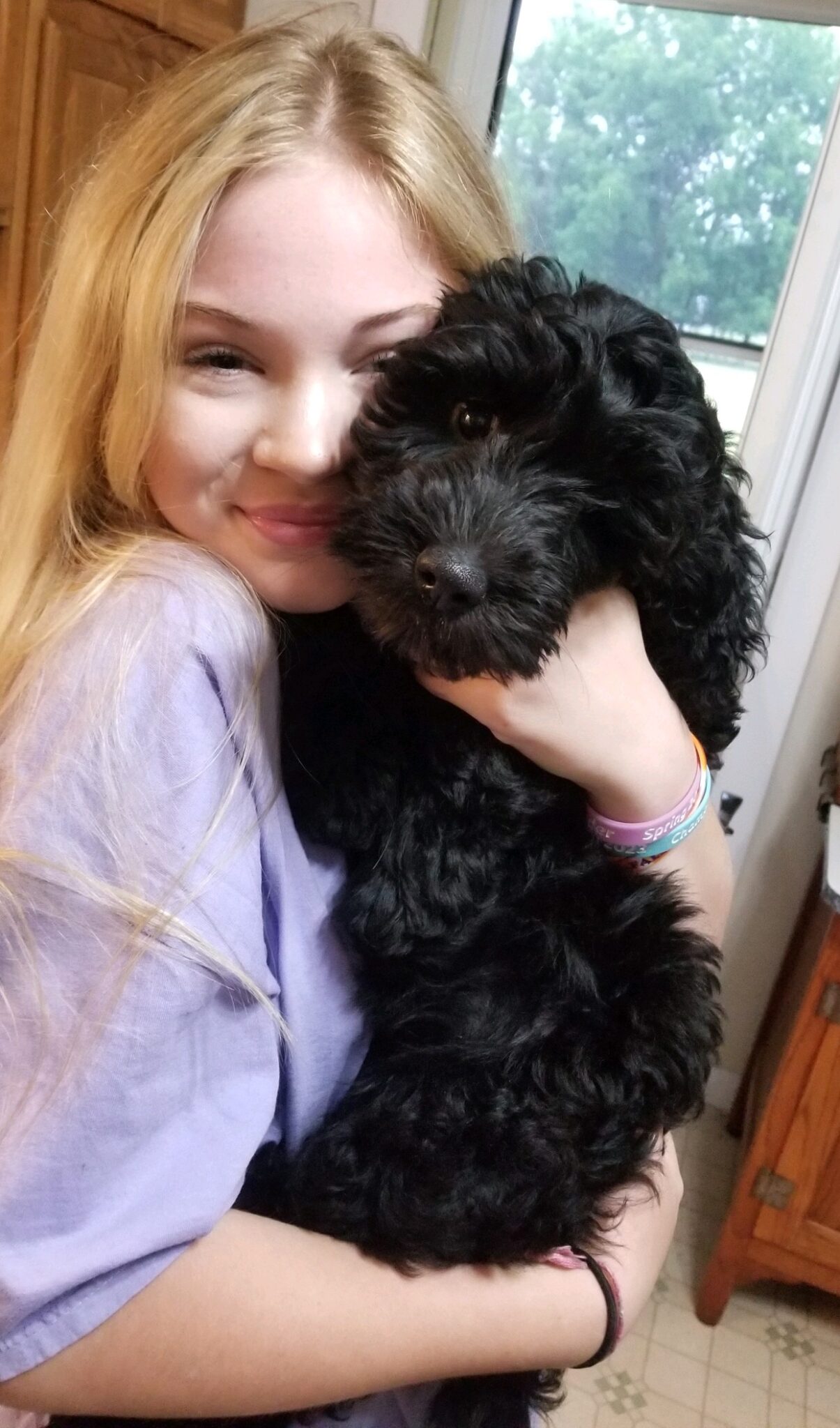 [Letter3 5] Trained Family Dog For Sale Near Me - l6myhcf